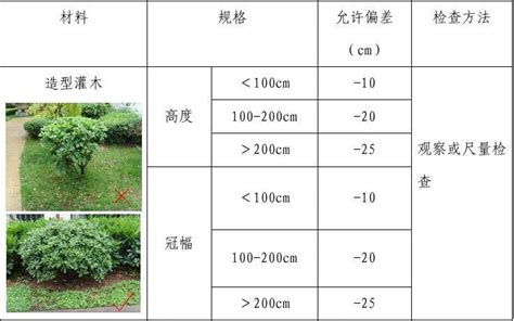 灌木種植密度|6．3种植设计